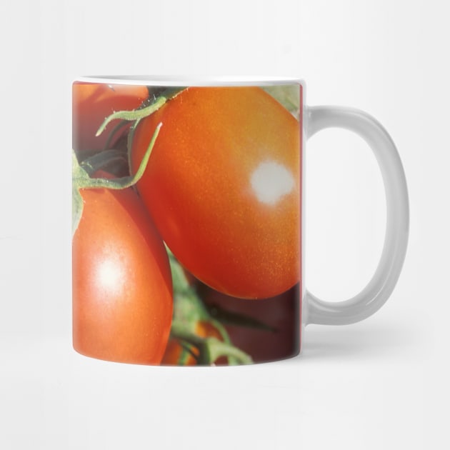 Red Tomatoes by Bravuramedia